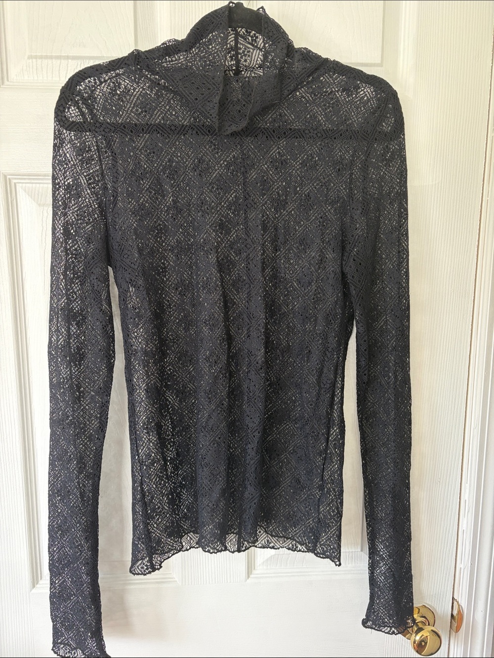Free People Intimately Sheer Black Lace Long-Sleeve Turtleneck Top